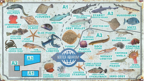 Wildlands Nortica Aquarium (Textured version).png