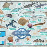 Wildlands Nortica Aquarium (Textured version)