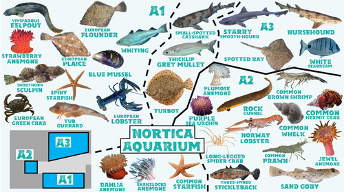 Wildlands Nortica Aquarium.png