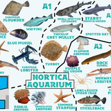 Wildlands Nortica Aquarium