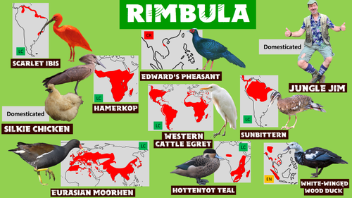 Wildlands Rimbula ground birds.png