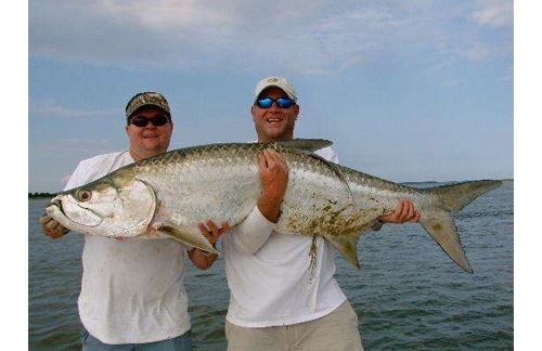 Some guides about tarpon fly fishing.jpg