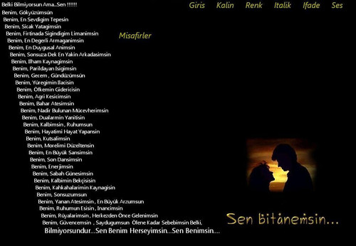 siiirli memonun tema .jpg