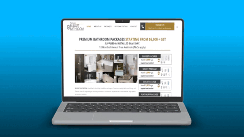 budget bathroom device graphic.gif