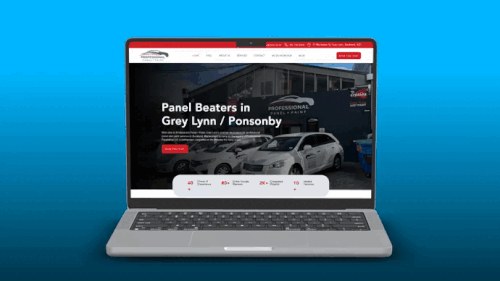 professional panel paint device graphic.gif