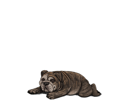 1000006065.png