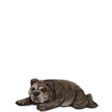 1000006065