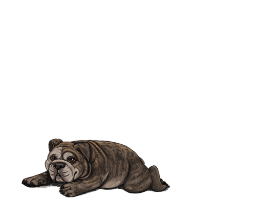 1000006066.png
