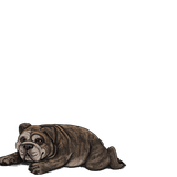 1000006066