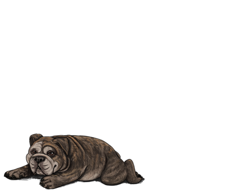 1000006072.png