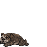 1000006072