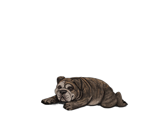 1000006064.png