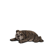 1000006064