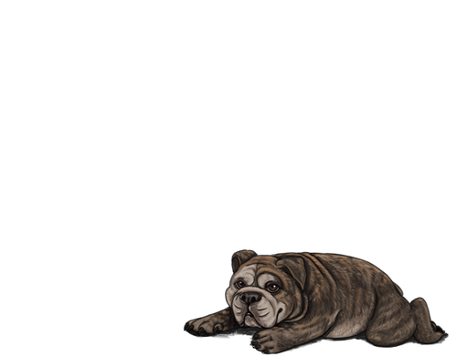 1000006073.png