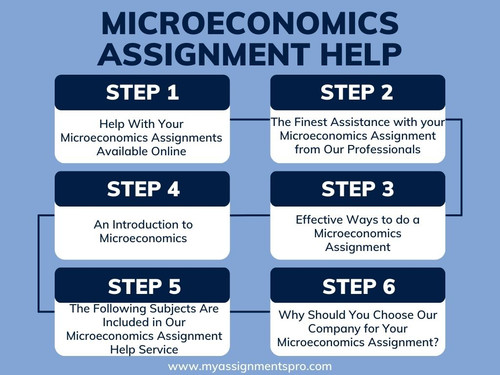 microeconomics assignment help 2.jpg
