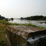 Marche au bord du canal 4