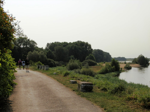 Marche au bord du canal 3.jpg