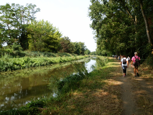 Marche au bord du canal 20.jpg
