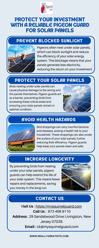 Protect Your Investment with a Reliable Pigeon Guard for Solar Panels.jpg