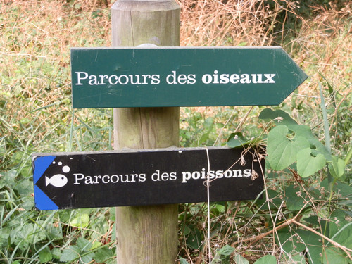 Marche au bord du canal 10.jpg