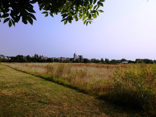 Marche au bord du canal 11.jpg