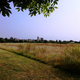 Marche au bord du canal 11