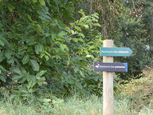 Marche au bord du canal 13.jpg