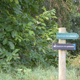 Marche au bord du canal 13