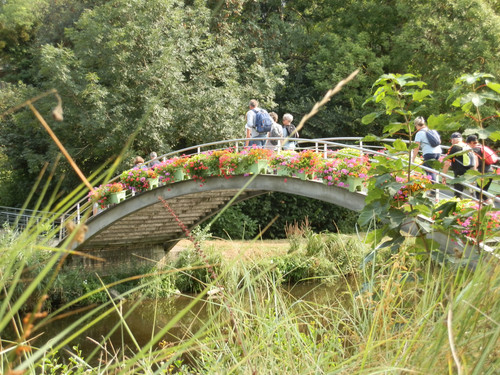 Marche au bord du canal 15.jpg