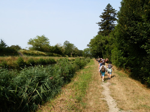 Marche au bord du canal 17.jpg