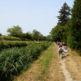 Marche au bord du canal 17