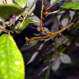 DSC 0021