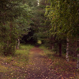 DSC 0031