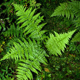 DSC 0039