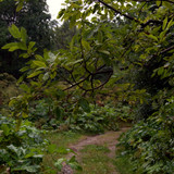 DSC 0019