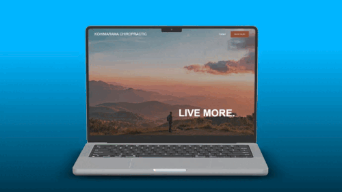 kohimarama chiropractic device graphic.gif