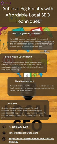 Achieve Big Results with Affordable Local SEO Techniques.jpg