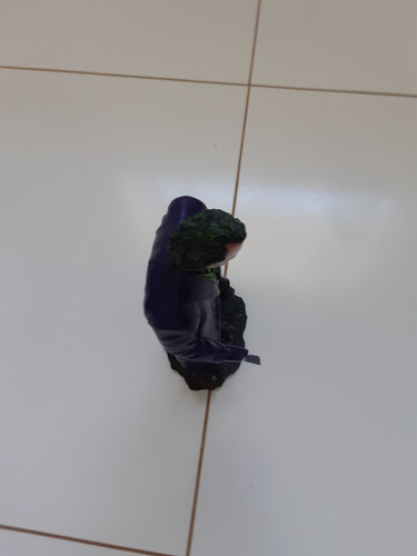 20200810 122038 006.jpg