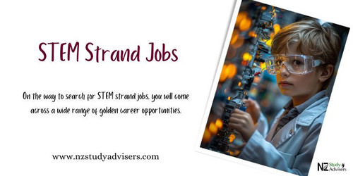 How can STEM Courses Fetch You a Highly Promising Career?.jpg