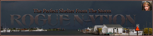 Stormz Banner.jpg