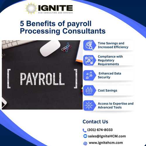 5 Benefits of payroll Processing Consultants.jpg