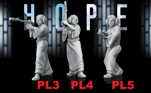 3.Princess Leia 2.jpg