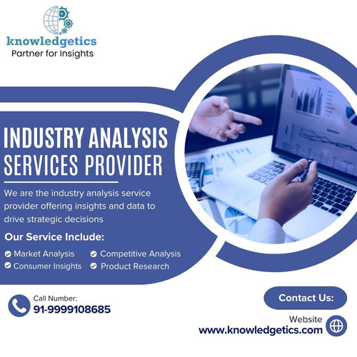 Industry analysis services provider.jpg
