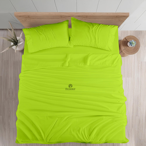 Parrot Green (4).jpg