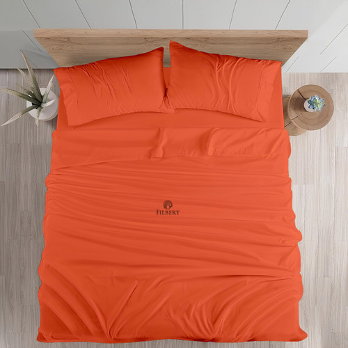 Orange (4).jpg
