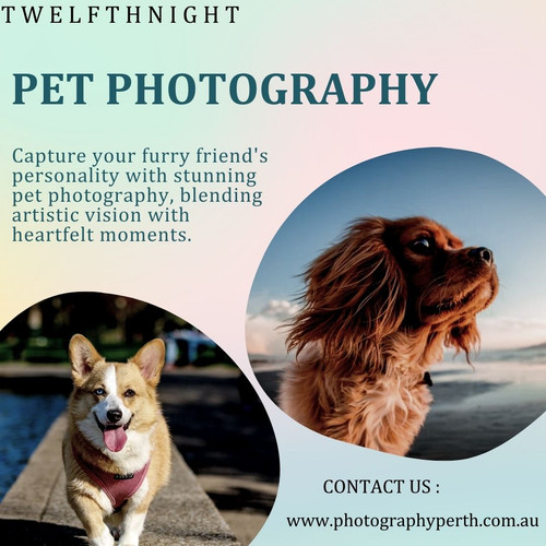 pet photography.jpg
