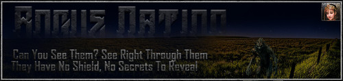 FieldWolf Banner.jpg