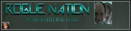 Silberman Banner.jpg