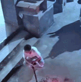 GIF.gif