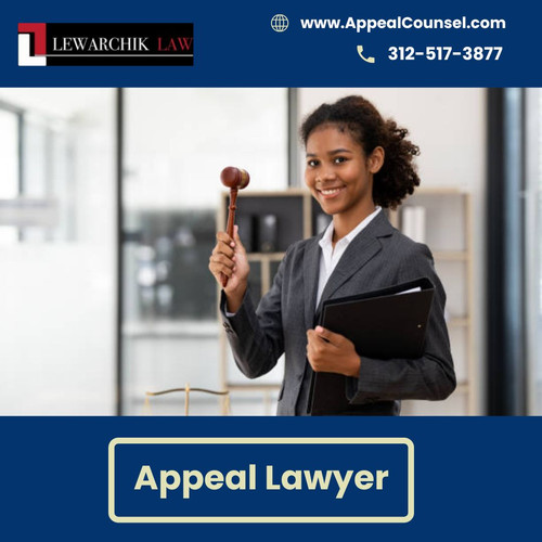 Appeal Lawyer.jpg